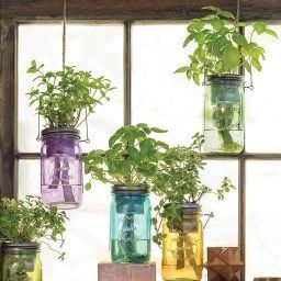 20+ Adorable Indoor Garden Herb Diy Ideas - Trendecora intended for Kitchen Herb Garden Ideas