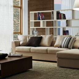 Living-Sofas with 2 Sofas In Living Room