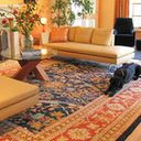 Persian Carpet Design, Pictures, Remodel, Decor And Ideas with 5X8 Rug In Living Room