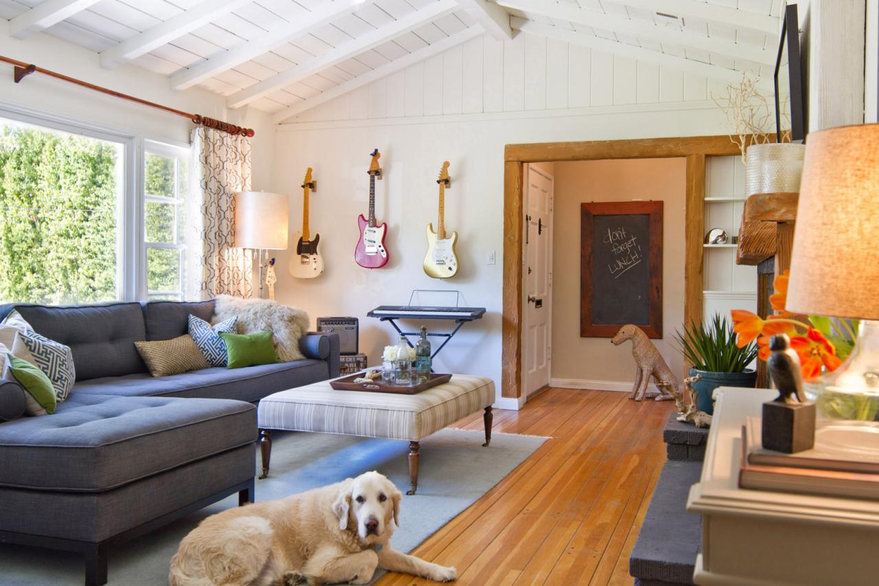 Tips For A Pet-Friendly Home | Hgtv intended for Pet Friendly Living Room Furniture