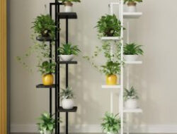 Living Room Plants Design