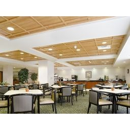 Woodtrac® Ceiling Systemsauder, Four Panels, Three intended for Living Room Wood Ceiling Design
